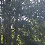 Gemütliche - Apartamento *