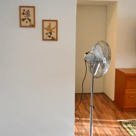 Gemuetliche - Apartment