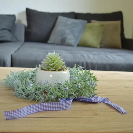 Apartment Gemuetliche -