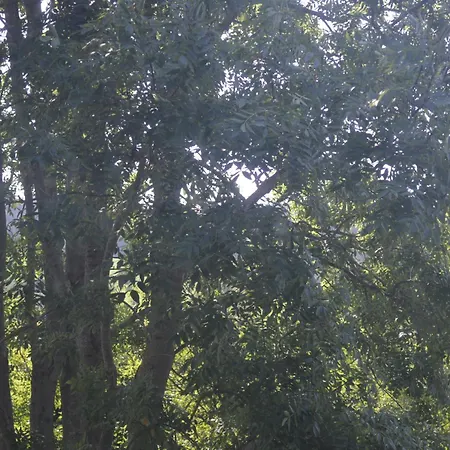 Gemütliche - Apartamento *