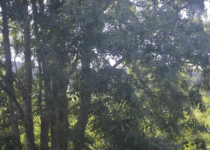 Gemuetliche - Apartament *